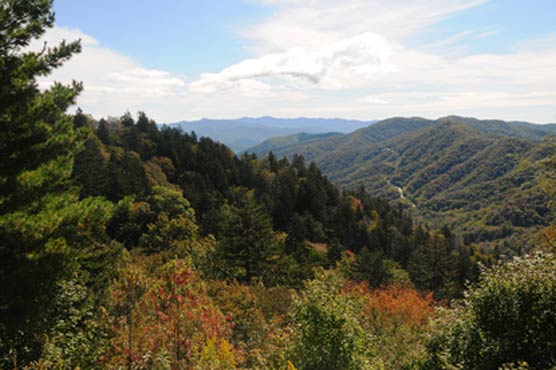4 of the Best Smoky Mountain Attractions for Families and Groups