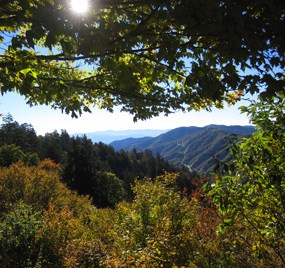 The view from the Newfound Gap parking lot.