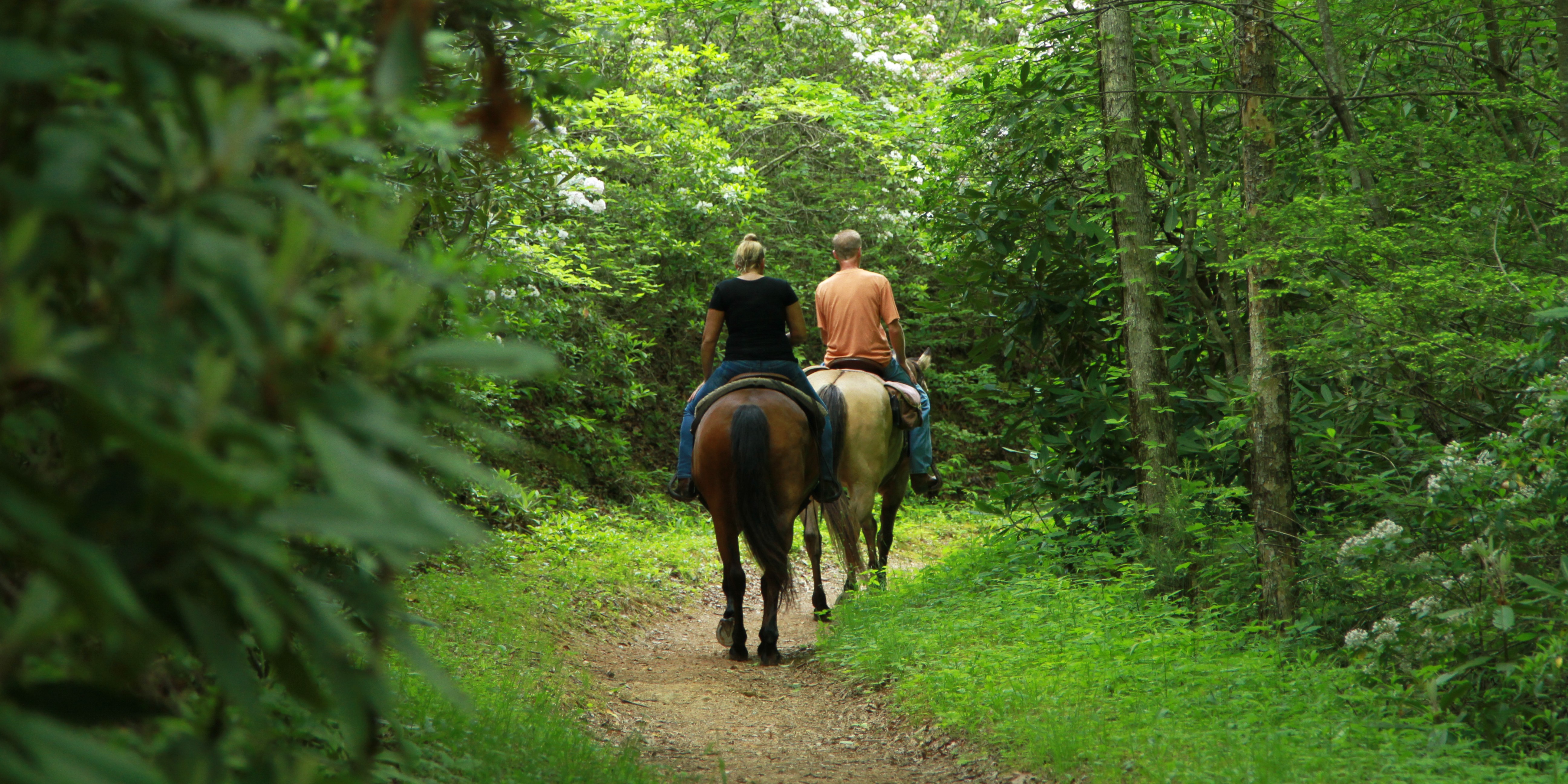 Two horseback riders on a trail in the forest.