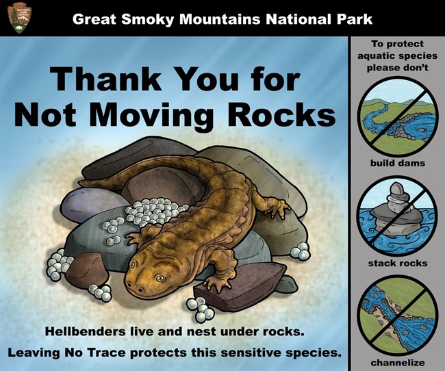 A animated hellbender salamander below text that says, "Thank You for Not Moving Rocks." Circles with a slash through each say, "please don't build dams, stack rocks, or channelize." "Hellbenders live and nest under rocks." Leave No Trace.