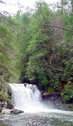 Abrams Falls in Cades Cove