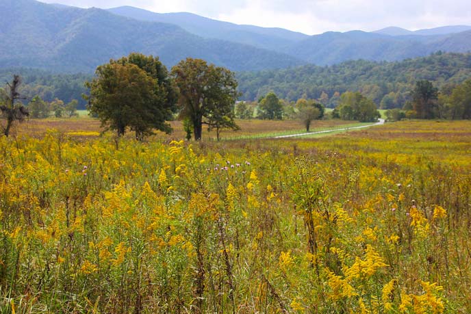 cades-cove-bielenberg