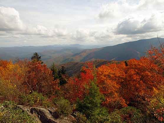 The view from Mount Cammerer Fire Tower on Oct. 10.