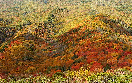 The view looking down from high elevation into mid elevation areas at Mount Cammerer.