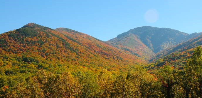 Campbell Overlook on US-441 offers views of fall colors.