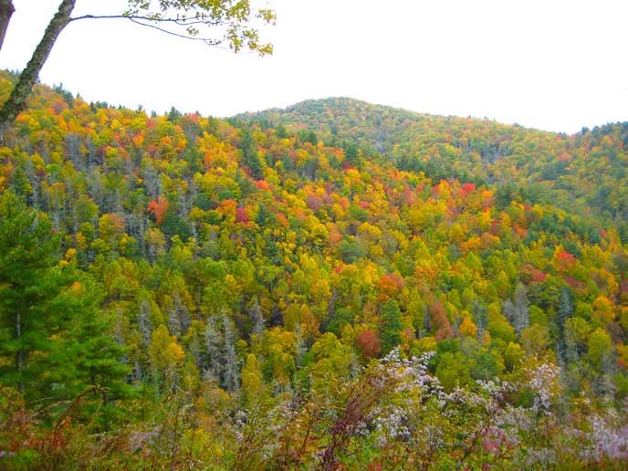 The mountain ridges around Cataloochee Valley are decked in fall colors.