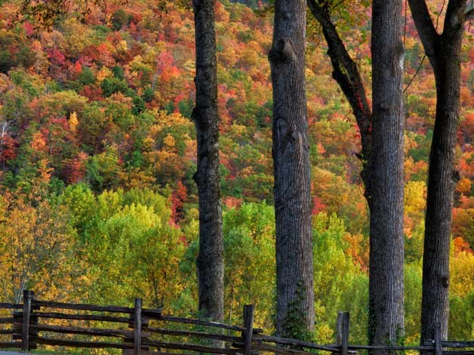 Autumn colors on the ridges around Cataloochee