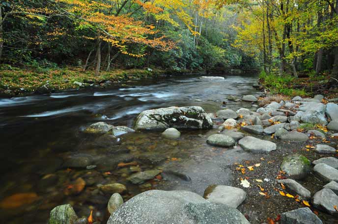 Trees with colorful fall leaves line a river.