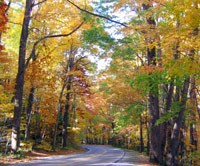 Fall leaf colors the trees along Newfound Gap Road. Fall leaf colors the trees along Newfound Gap Road.