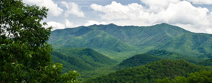 Fees & Passes - Great Smoky Mountains National Park (U.S ... - 688 x 272 jpeg 65kB