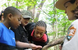 Join a ranger-guided program to learn about the park. Join a ranger-guided program to learn about the park.
