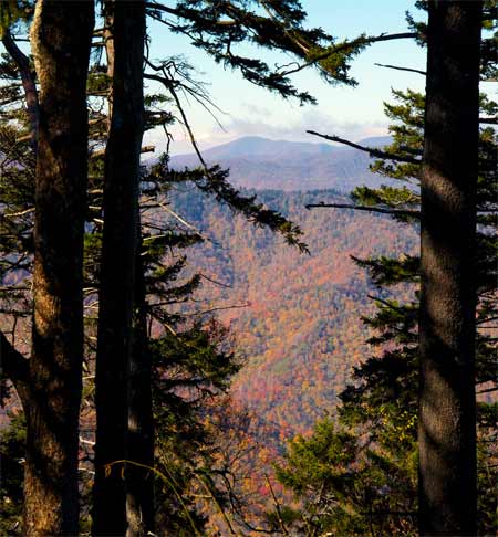 Distant mountains are framed by spruce trees in theis view from a high elevation trail