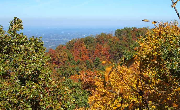 Colorful trees frame the distant valley of Maryville, TN.