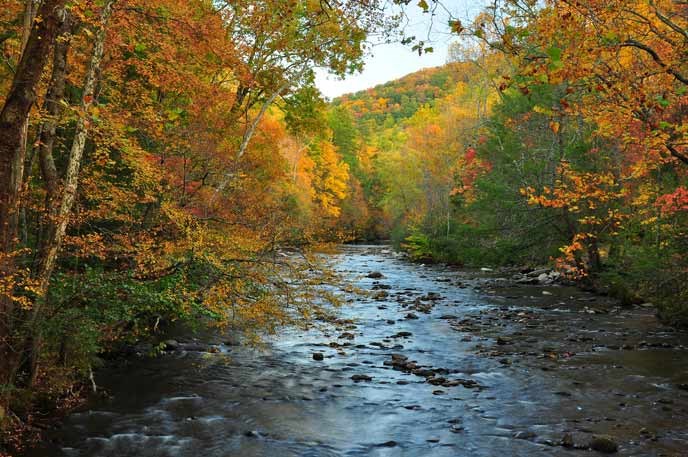Colorful trees line the Little River at Metcalf Bottoms