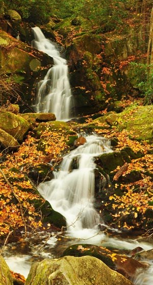 Mouse Creek Falls