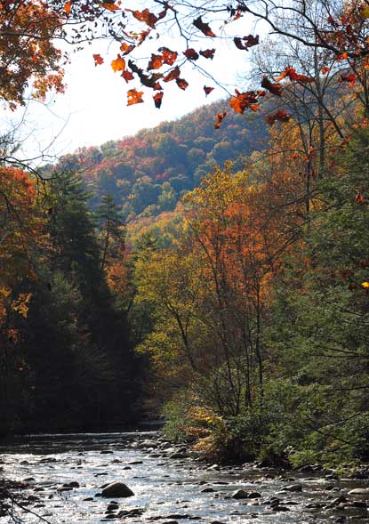 The Little River at Metcalf Bottoms Picnic Area