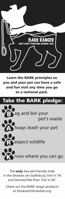 Infographic with the outline of a dog holding a leash in its mouth and paw prints around the letters B, A, R, K with text