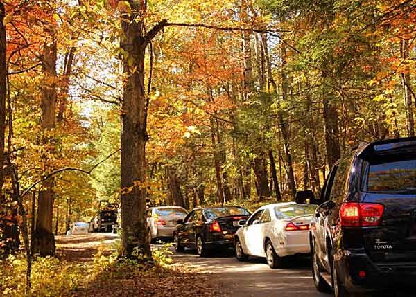A long line of cars on the Cades Cove Loop Road