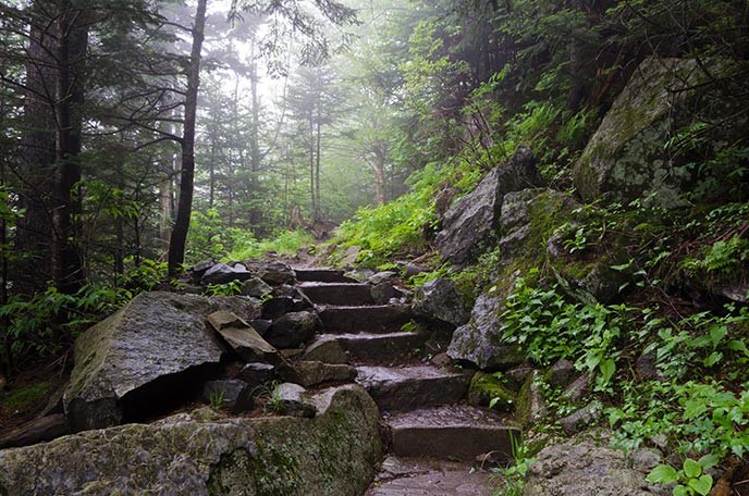 Stone stairs on a hiking trail in the woods