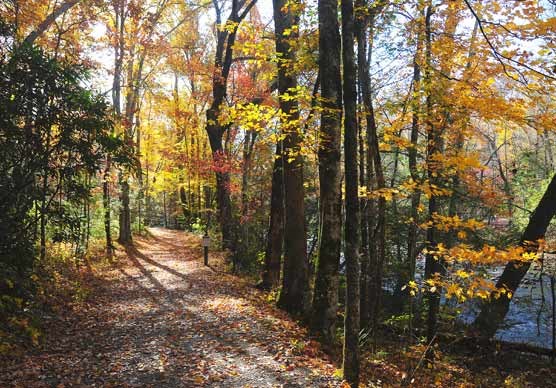 Lower elevation trails are good choices for viewing color this week.