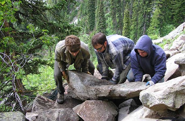 Trail work Trail work