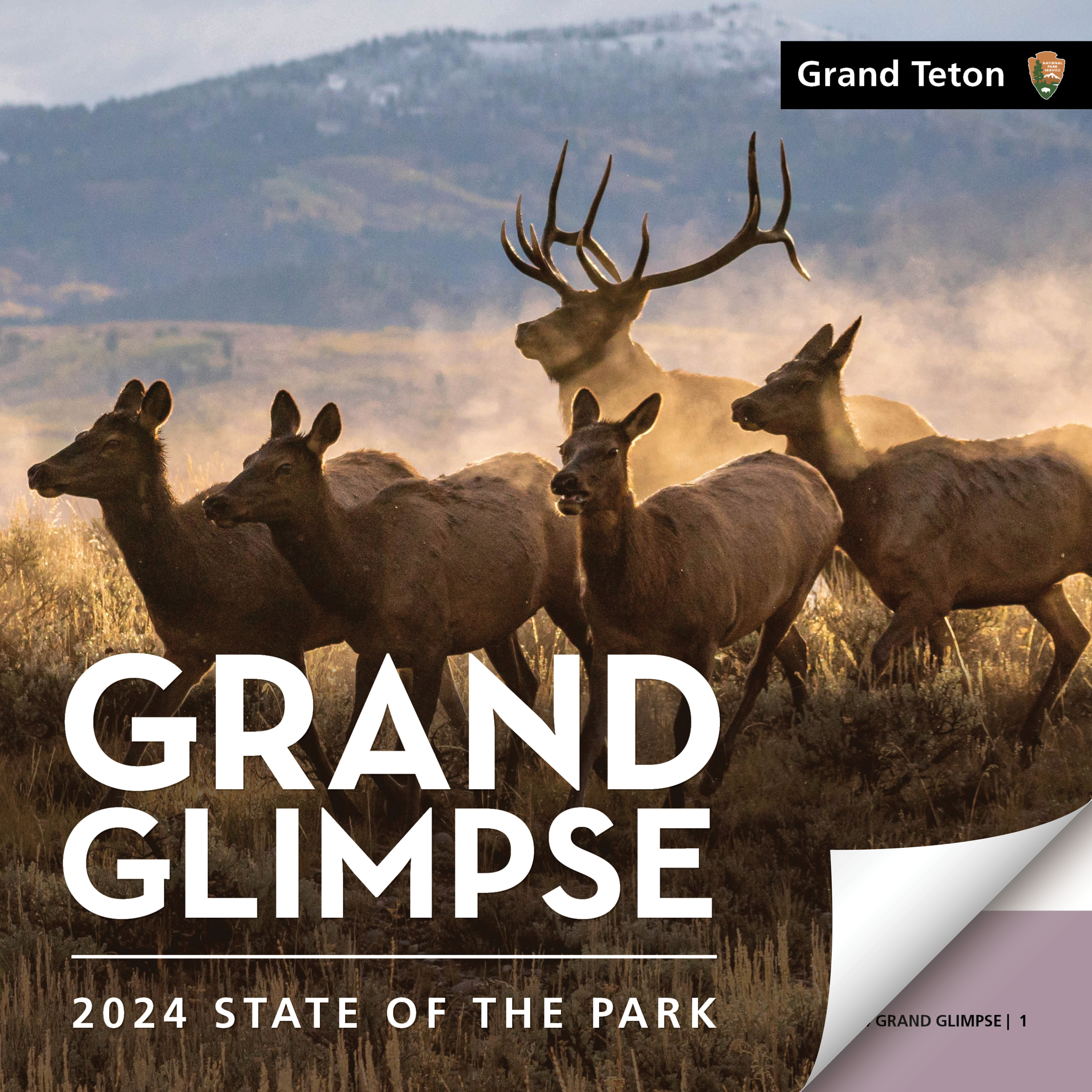 2024 Grand Glimpse Cover 2024 Grand Glimpse Cover image with migrating elk