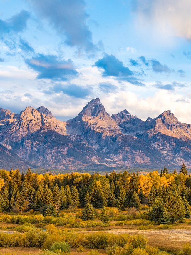 The Teton Range with blue, cloudy skies above and fall foliage below