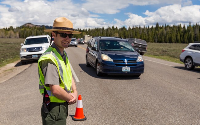 A member of the wildlife brigade manages a bear jam along a park roadway.