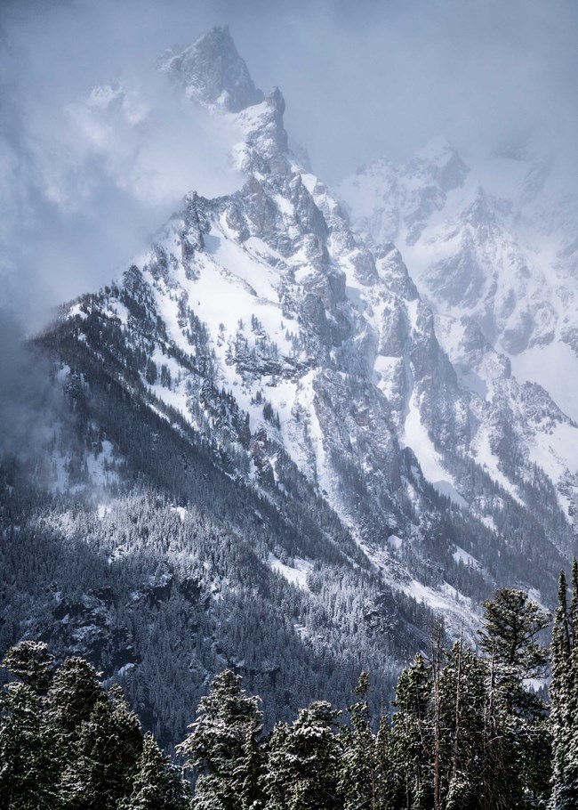 A spring snow storm blankets the Tetons in snow