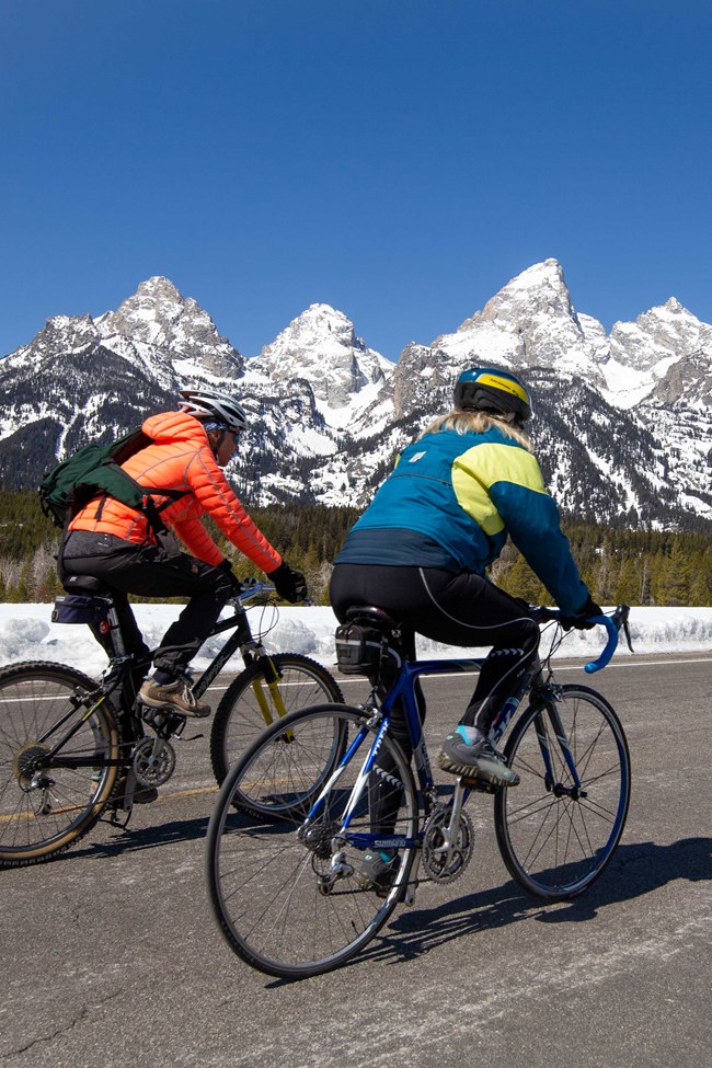 Cyclists enjoy a ride on the Teton Park Road with the snow-covered Tetons in the background