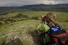 Emeilene Ostlind monitoring pronghorn migration.