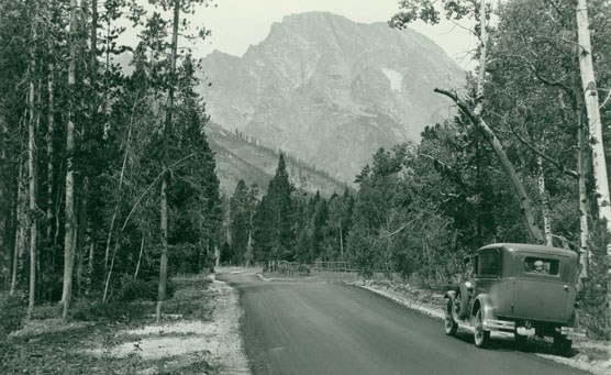Early Tourist