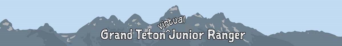 Grand Teton Virtual Junior Ranger, image with mountains in the background.
