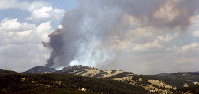 Wildland Fire Wildland Fire