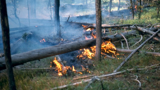 Wildland Fire Wildland Fire