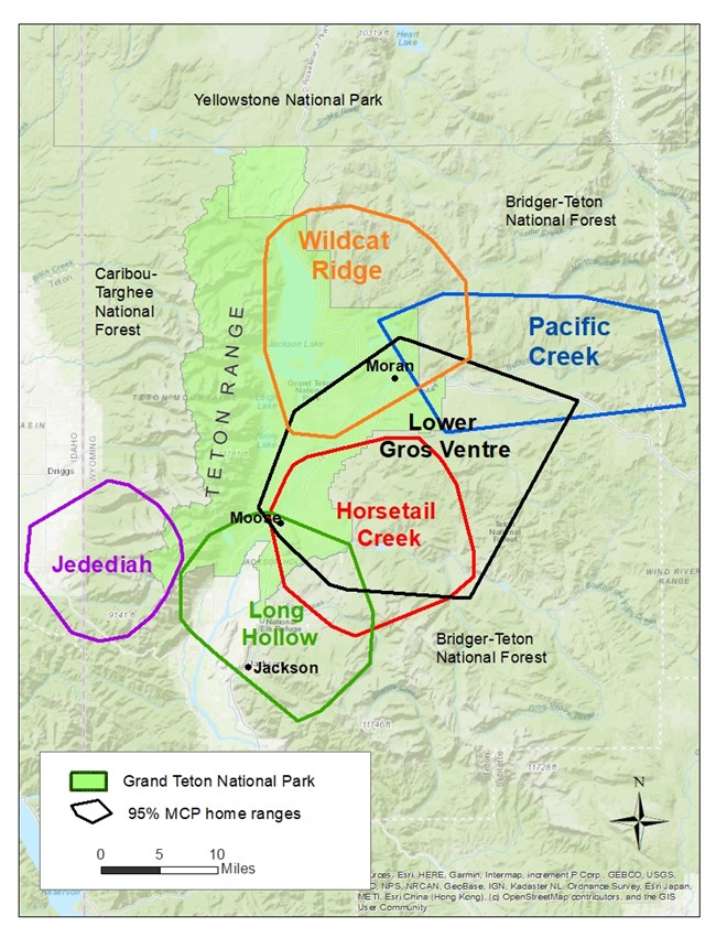 This map shows polygons of the 2021 home ranges of six wolf packs that use the park.