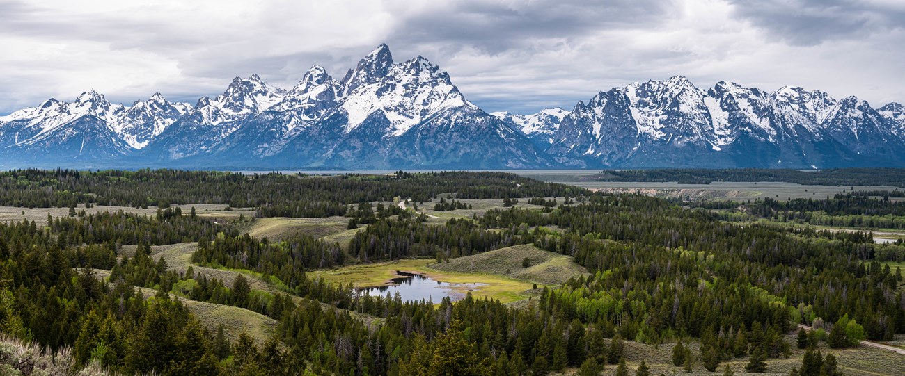 View of the Teton Range from above Hedrick Pond to the east. Forests and sagebrush cover the valley floor.