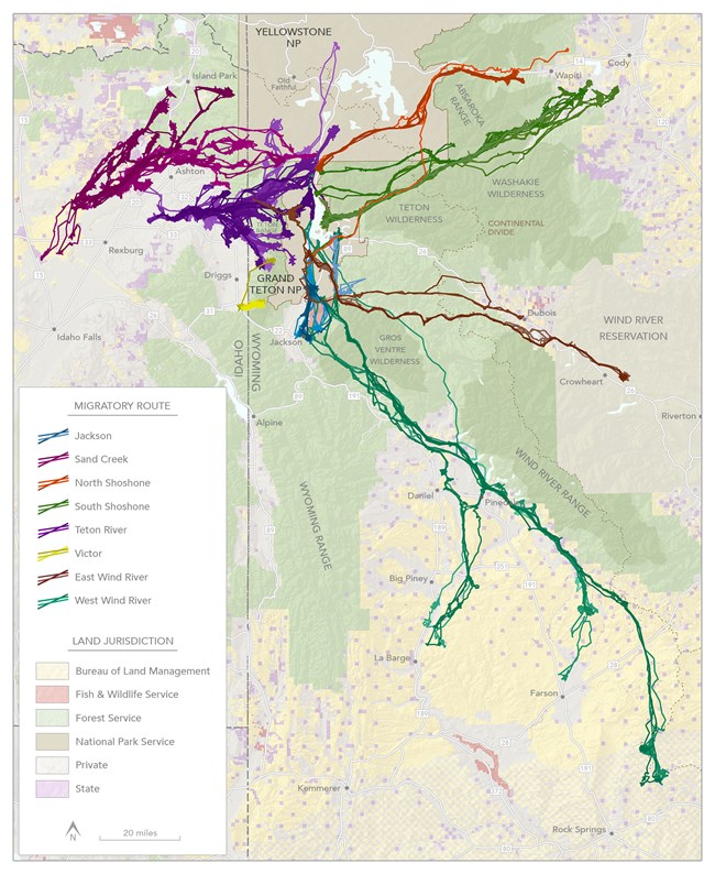 Map of mule deer travel paths from Grand Teton to winter range.