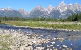 Schwabachers Landing is one of many access areas to view the Snake River flood plain.