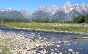 Schwabachers Landing is one of many access areas to view the Snake River flood plain.