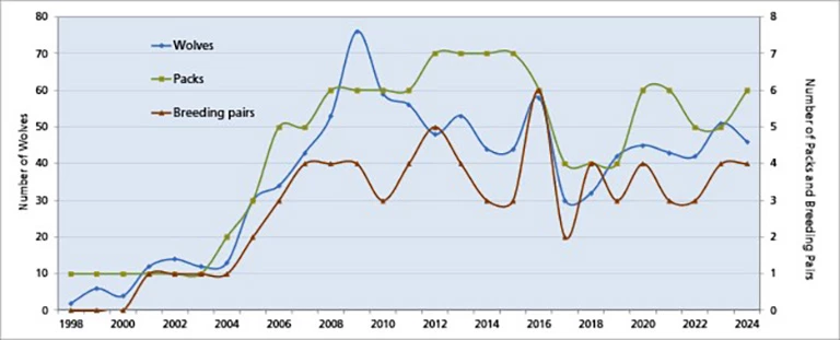 2024 wolf population graph for Grand Teton. Graph showing the initial rise in wolf numbers followed by undulating changes.
