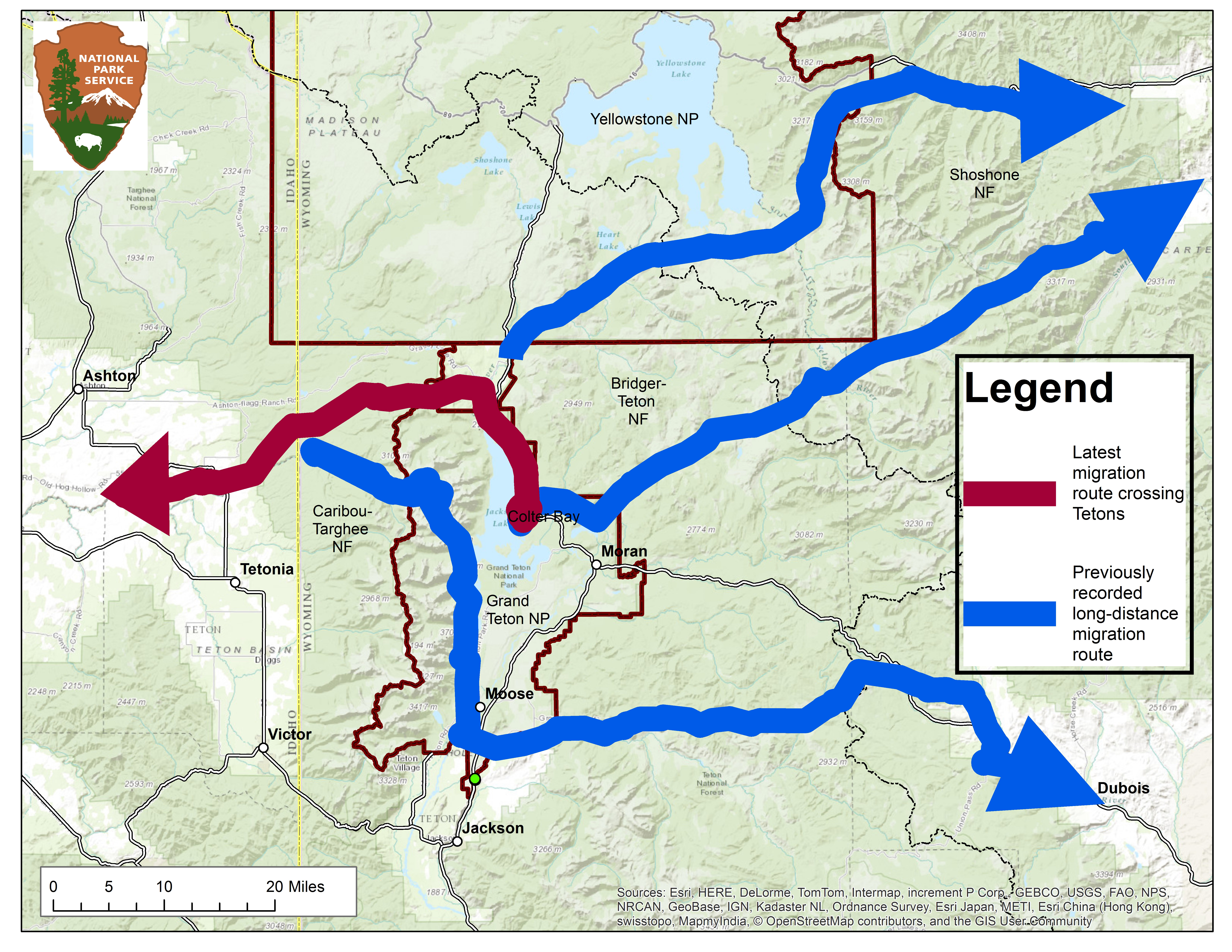 Map showing four documented mule deer migration routes out of Grand Teton National Park.