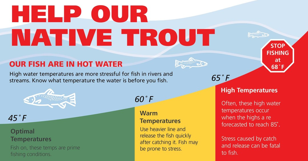 graph showing river temperature