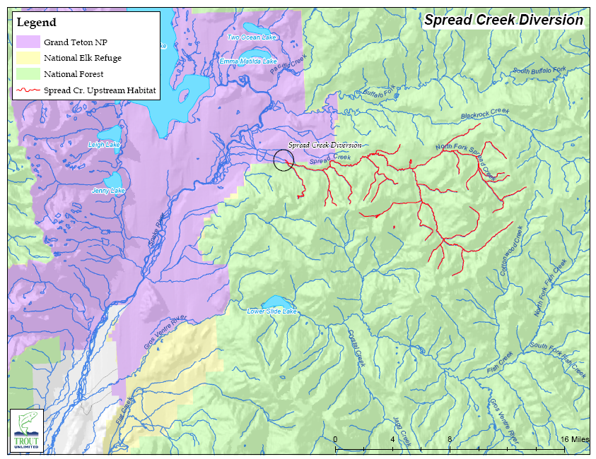 Map of Upper Snake River, Spread Creek Dam site, and amount of newly accessible upstream mainstem and tributary habitat (50 – 60 miles) following dam removal in 2010.