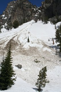 Garnet Canyon Avalanche