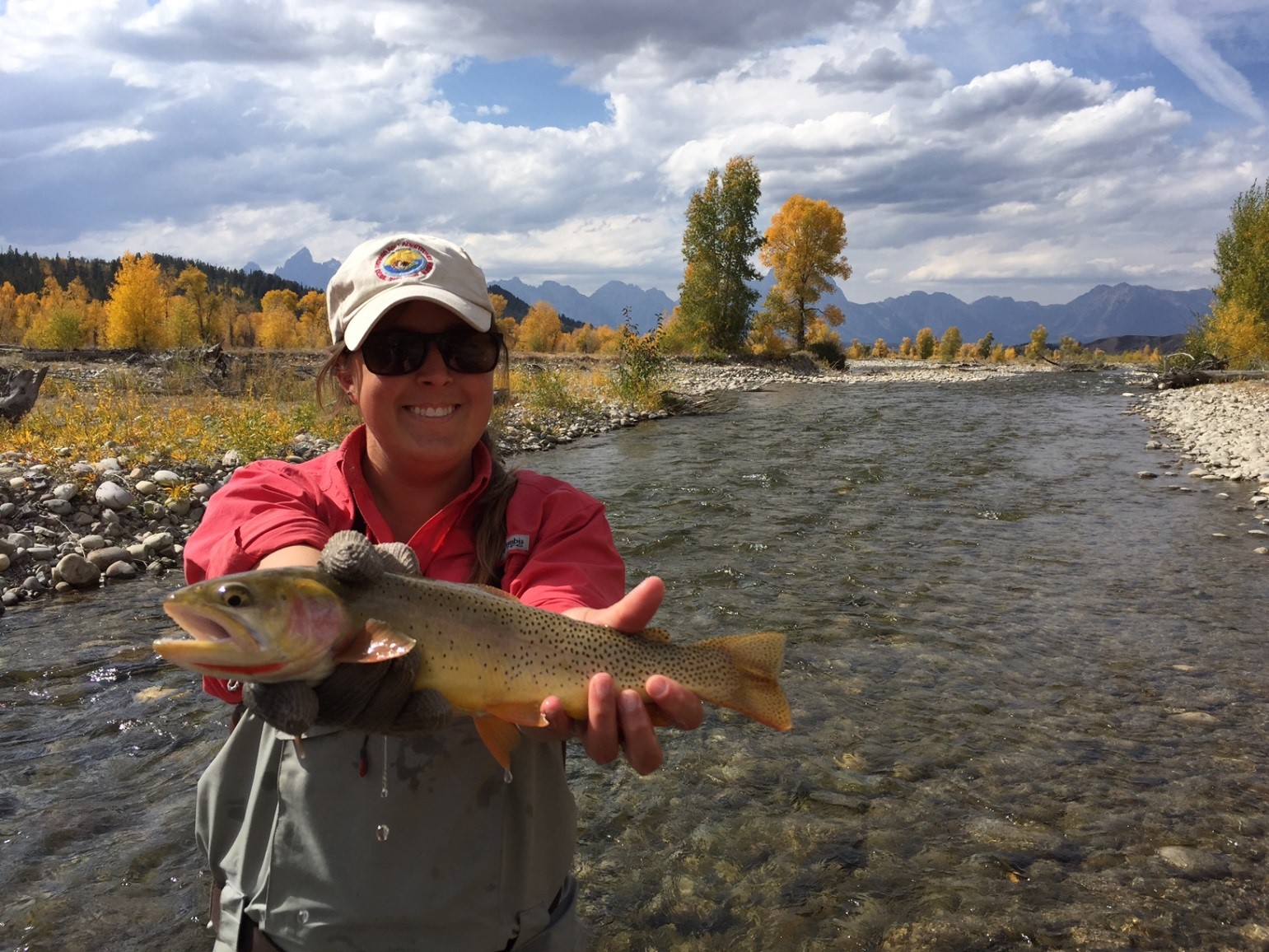 Migratory native cutthroat trout rescued during an annual interagency fish salvage from the Spread Creek irrigation ditch system.