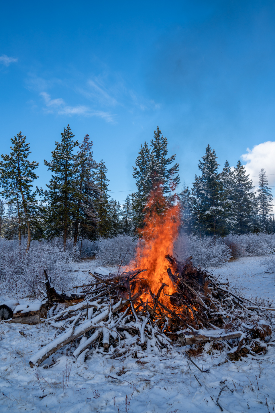 Fuel reduction pile burning