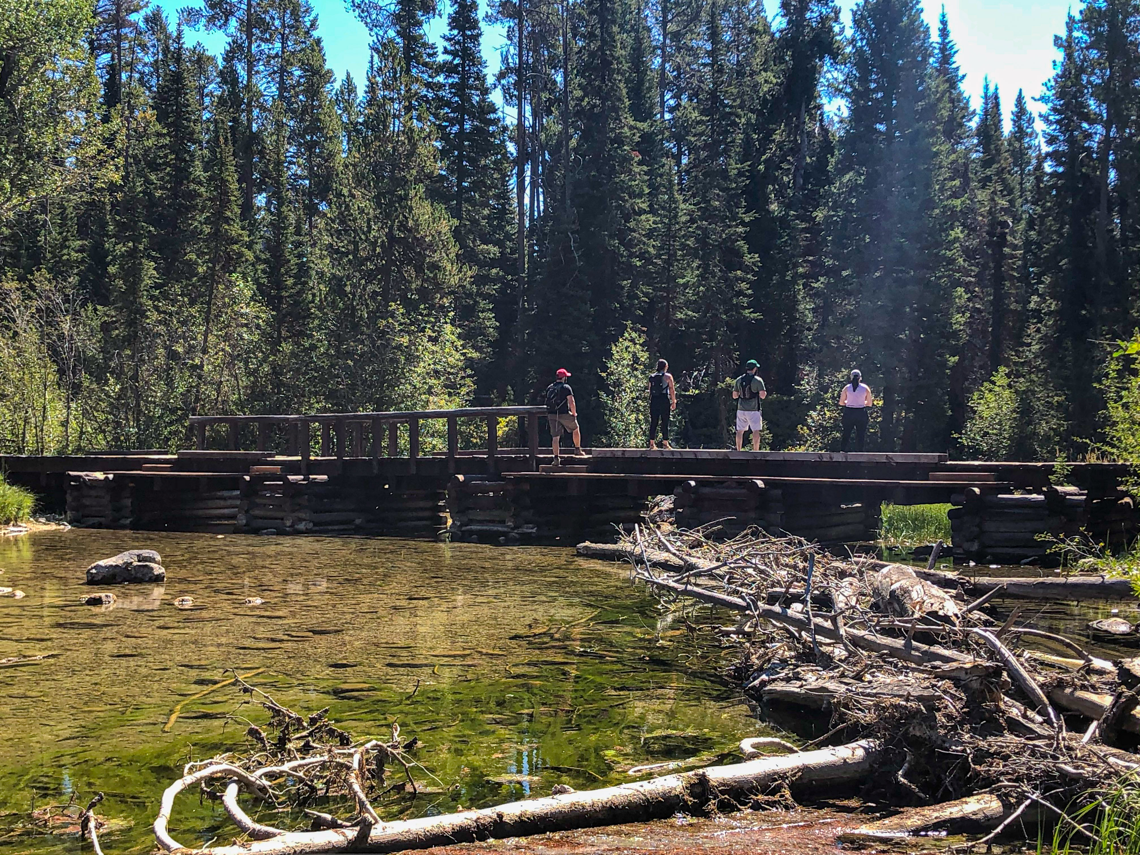 hikers stand on a wood bridge over a creek