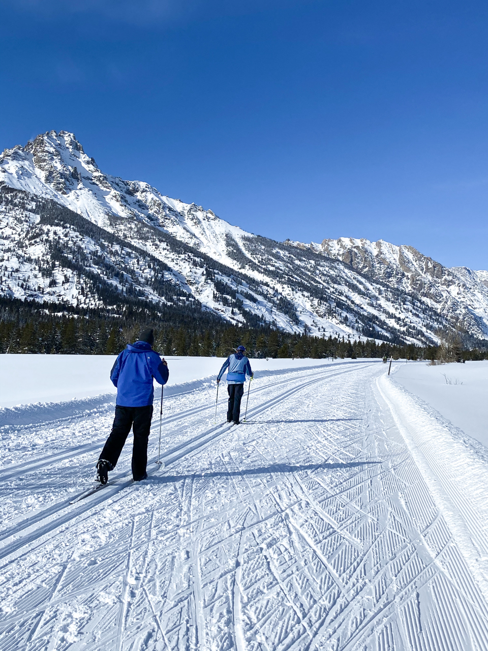 Visitors skiing on the groomed Teton Park Road