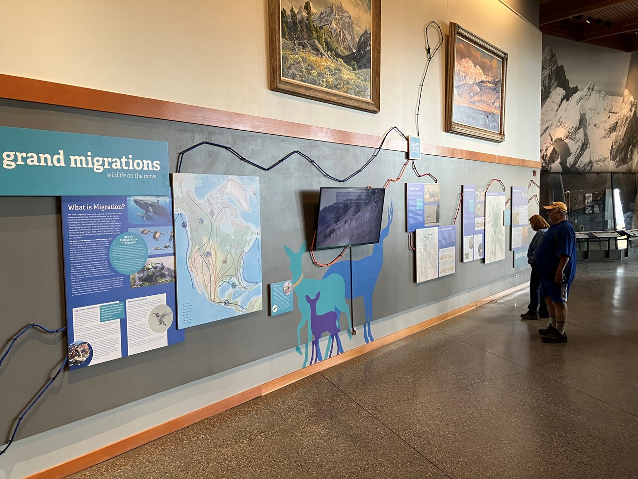 The Grand Migrations: Wildlife on the Move exhibit at Grand Teton National Park’s Craig Thomas Discovery and Visitor Center.